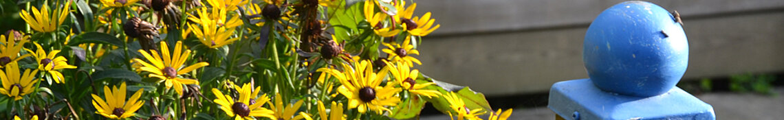  01header_aktuell.jpg